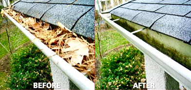 Rain Gutter Cleaning